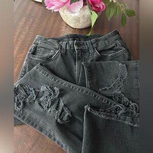 Distressed High Rise Curvy Bootcut